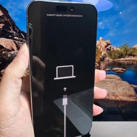 Apple iPhone 16 pro max シルバー 本体 (商品ジャック)