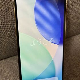 iPhone12 Pro【背面ひび割れ有り】