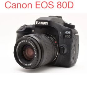保証付き/デジタル 一眼レフカメラ Canon EOS 80D標準レンズセット