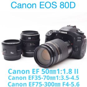 Canon EOS 80D標準&望遠&単焦点トリプルレンズセット、