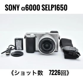 【美品】Sony α6000 SELP1650 パワーズームキット ミラーレス