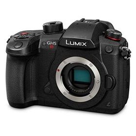 【中古】「非常に良い」パナソニック ミラーレスマイクロフォーサーズデジタルカメラ Lumix DC-GH5S (国際版) 保証なし(ミラーレス一眼)