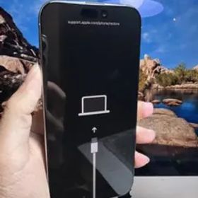 Apple iPhone 16 pro max シルバー 本体 (商品ジャック)