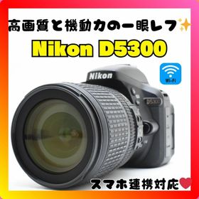 ニコン(Nikon)の❤️初心者から中級者まで❤️Nikon D5300❤️Wi-Fi機能付き❤️(デジタル一眼)