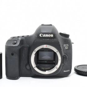 ショット数: 176回 Canon EOS 5D Mark III #1161