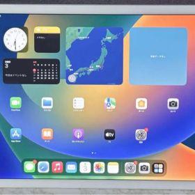 iPad Pro 12.9 インチ (第2世代) SIM フリー シルバー