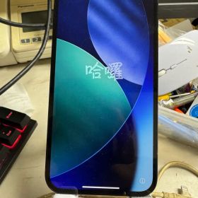 Apple iPhone 12 Pro Max. Junk