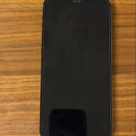 iPhone 12 Pro Max 256GB