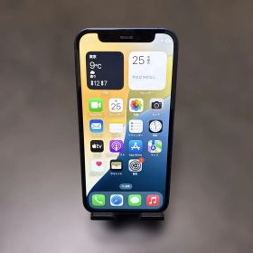 【匿名配送:美品】iPhone 12 mini ブルー 128GB 箱あり