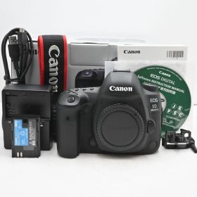 シャッター回数『5388』Canon デジタル一眼レフカメラ EOS 5D Mark IV ボディ