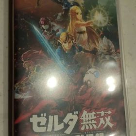 ゼルダ無双 厄災の黙示録
