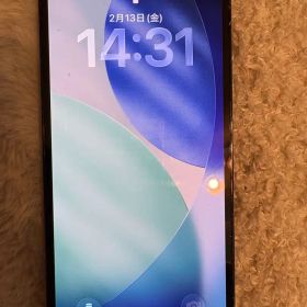 Apple iPhone 12pro 本体