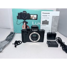 パナソニック(Panasonic)の僅か153ショット 新品級 パナソニック LUMIX DC-G100 ボディ(ミラーレス一眼)