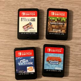 ドンキーコング トロピカルフリーズ マイクラ ゴーバケーション アソビ大全51