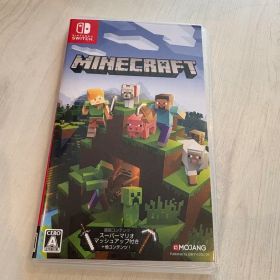 マインクラフト ソフト