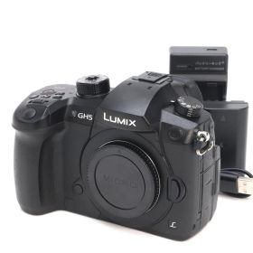 A+ (美品) Panasonic パナソニック LUMIX DC-GH5 ボディ シャッター数 300枚 初期不良返品対応 101-197