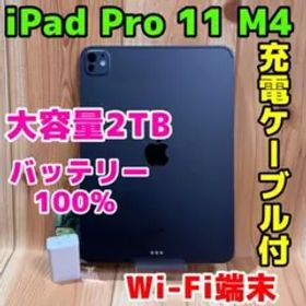 Wi-Fi 本体 iPad Pro 11 M4 2TB 437 スペースブラック