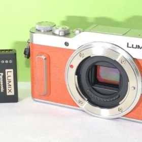 LUMIX DC-GF10 中古 31,000円 | ネット最安値の価格比較 プライスランク