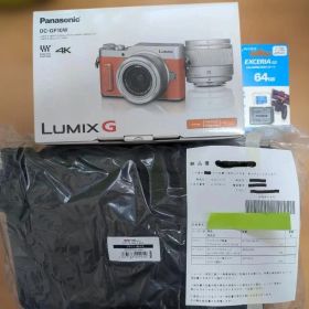 未開封メーカー保証付 Panasonic LUMIX G DC-GF10 W-D