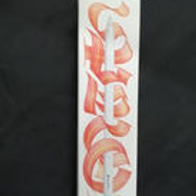 APPLE PENCIL PRO 第2世代 MX2D3ZP/A APPLE