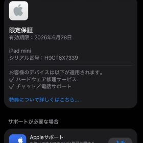 iPad mini (A17 Pro)128GB 限定保証6/28 充