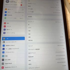 iPad pro 12.9インチ SIMフリー セルラー モデル