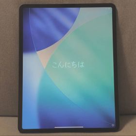 iPad Pro 12.9インチ 第4世代Wi-Fi256GB（スペースグレイ）