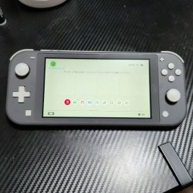 Switch Light(グレー)