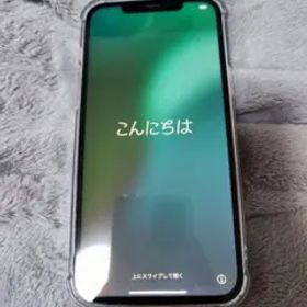 iPhone 12pro max 256GB