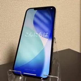 Apple iPhone 12 Pro Max 128GB グラファイト