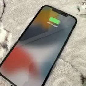 iPhone12promax 256GB ジャンク 本体のみ 液晶感知不良