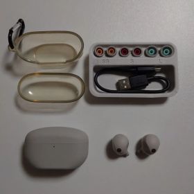 ソニーワイヤレスイヤホン WF-1000XM5 プラチナシルバー