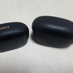 ソニー WF-1000XM5 ブラック 付属品完備 ワイヤレスイヤホン SONY