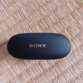 【新品未使用】 ソニー ワイヤレスイヤホン WF-1000XM5（B）ブラック