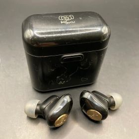 即決 ピエール中野 AVIOT ワイヤレスイヤホン TE-D01d-pnk