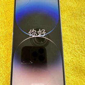 iPhone14pro max 256GB