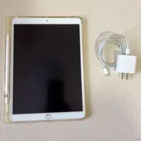 iPad Pro 10.5 256GB cellular SIMフリー シルバー