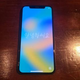 Apple iPhone X 本体 256GB SIMフリー