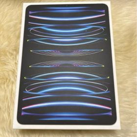 美品 Apple iPad Pro 第4世代11インチ 256GB Wi-Fi