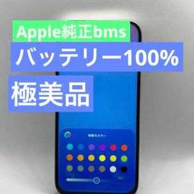 iPhone 15 Pro 256GB バッテリー100% 100%