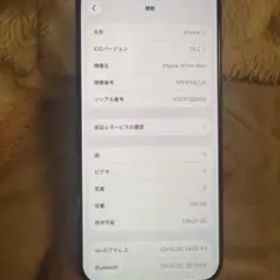 海外版iPhone 16 Pro Max 256GB,美品,バッテリーは100％