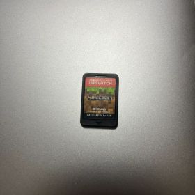 マインクラフト Switchカセット