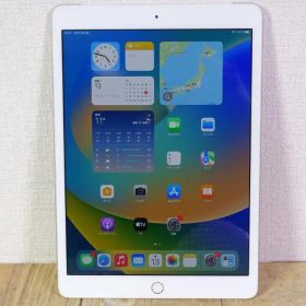 【美品】iPad 第8世代 Cellular シルバー 32GB A2429