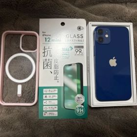 Apple iPhone 12 本体 青色 箱充電ケーブル付きFace ID故障