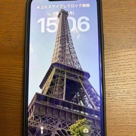 Apple iPhone 12 Pro Maxグラファイト 256gb ケース付