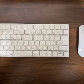 Magic Keyboard / mouse