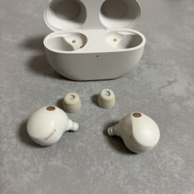 SONY WF-1000XM5 使用期間2ヶ月