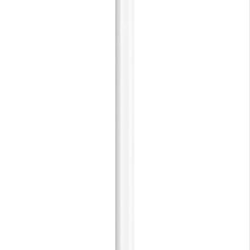 純正Apple Pencil 第2世代 ホワイト ワイヤレス充電