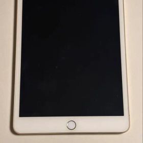 美品 iPad mini 3 Cellular 16GB ゴールド 判定外