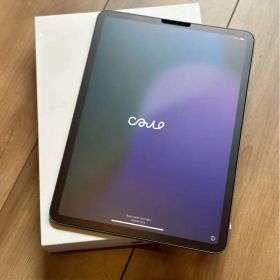 Apple iPad スペースグレー 本体 ipadpro11インチ第2世代